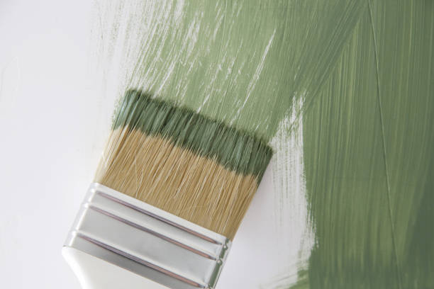 Coldwater, MI Mold Removal Company