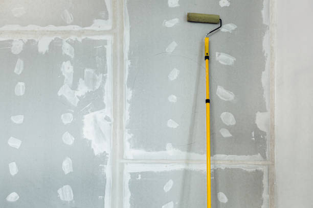 Reliable Coldwater, MI Mold Removal Solutions