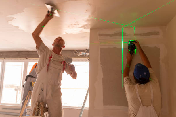 Best Dehumidification Services  in Coldwater, MI